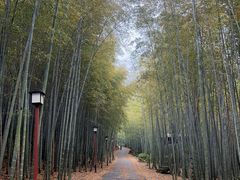 -穹窿山景区