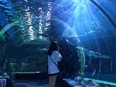 -暹罗海洋世界