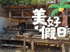 -清风小镇闯关东影视基地