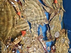 -海铺·渔家虾水饺(皇姑店)