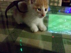 android_upload_pic-赢吧Bliss音乐酒吧