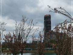 -桂溪生态公园