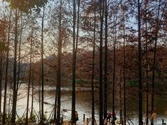 -重庆彩云湖湿地公园