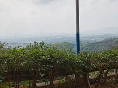 -火炉山森林公园