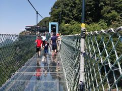 -梦幻奥陶纪景区