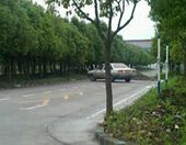 练习场-无忧学车·大众驾校(长宁校区)