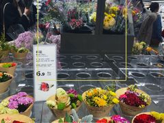 -鹿岛生活(熙地港店)