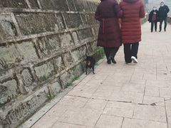 -重庆两江夜游-交运系列