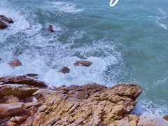 -广东惠东海龟国家级自然保护区