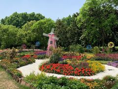 -上海共青森林公园