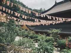景点-杭州上天竺法喜讲寺