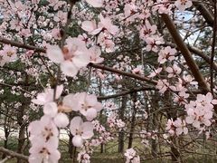 -北门涮肉·炭火铜锅涮肉(什刹海店)