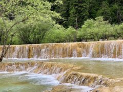 -黄龙山原始森林景区