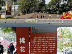 -南国桃园旅游度假区