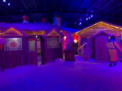 -圣名游乐城冰雪大世界