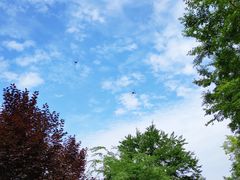 -白鹭湾湿地公园