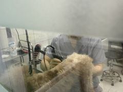 -达爱动物医院·犬猫分区·CT·复杂眼科(远洋山水分院)