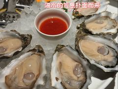 -Oyster Talks 四度蚝法餐厅