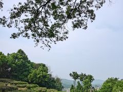 -丽晶美庐·玉兰餐厅