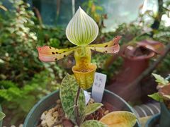 -国家植物园南园