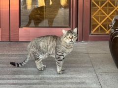 -延盛阁民俗餐厅