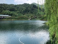 -天地生态农庄