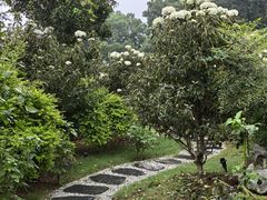 -杭州西湖风景名胜区-满觉陇四眼井