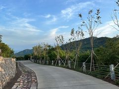 -北京西山国家森林公园