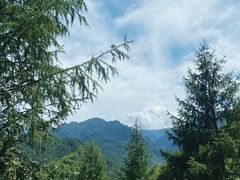 -秦岭风景区