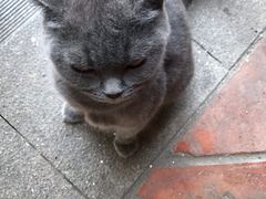 -西关竹园(荔枝湾店)