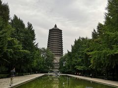 -玲珑塔公园
