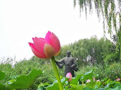 -郭守敬纪念馆
