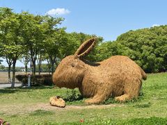 -嘉北郊野公园