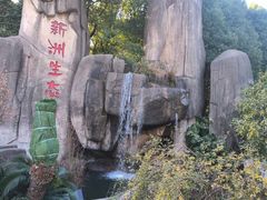 -新洲生态园