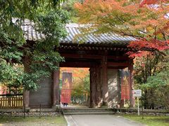 -醍醐寺