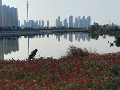 -汉江湾体育公园