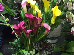 -双季花艺园艺市场(浦东店)