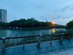 -南翔镇银翔湖公园
