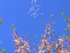 -龙美术馆(西岸馆)