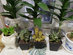 -北京市朝阳区奥运村社区卫生服务中心