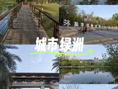 -沐仙湖湿地公园