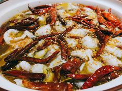 眉山老坛酸菜鲈鱼-青花椒花椒鱼(合生汇店)