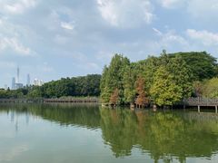 -海珠湖公园