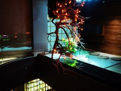 -江滨壹号艺文空间复合餐厅(闽江大道店)