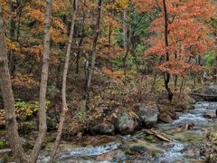 -玉渡山自然风景区