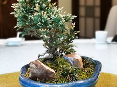 -八闽饭店闽南小镇(铁西店)