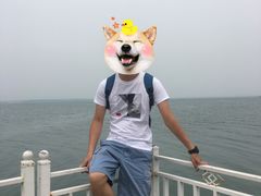 -红碱淖景区