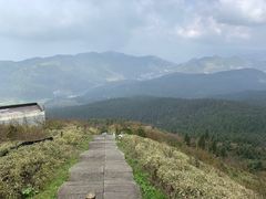 -武陵山森林公园