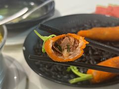 -丁老爷子苏香圆