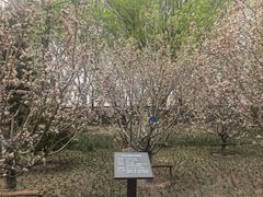 -元大都城垣遗址公园